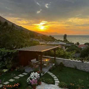 Aloha House , Szkodra Albania